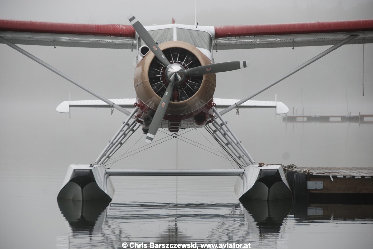 Beaver on floats at the Christiansen Lake, Talkeetna Alaska