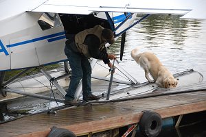 Buschpilot Donald R Lee, Alaska