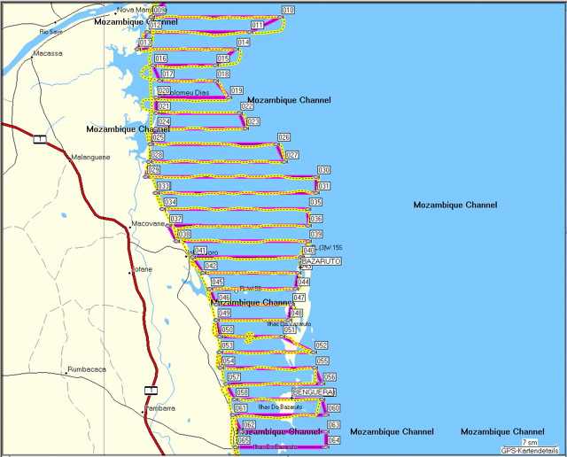 tracking_nach_dugongs_track1.jpg